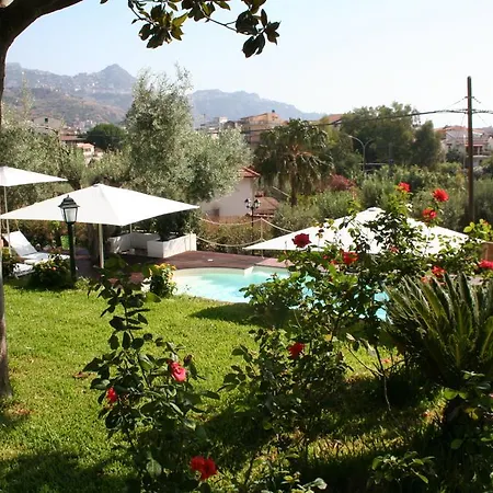 Avocado B&B Beyond-2